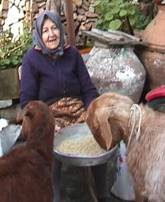 nisan