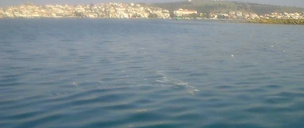 cunda kir-2